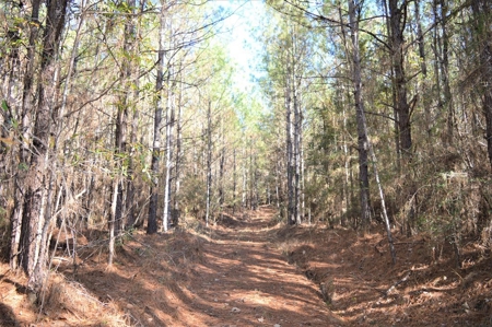 185 Acre Turnkey Hunting Paradise Southwest MS - image 33
