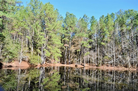 185 Acre Turnkey Hunting Paradise Southwest MS - image 41