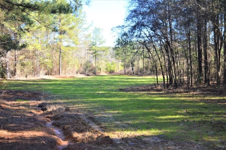 185 Acre Turnkey Hunting Paradise Southwest MS - image 19