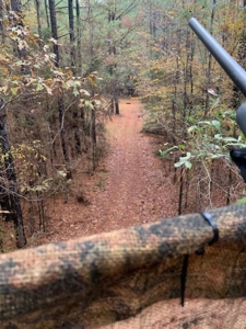 185 Acre Turnkey Hunting Paradise Southwest MS - image 23