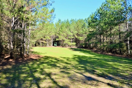 185 Acre Turnkey Hunting Paradise Southwest MS - image 29
