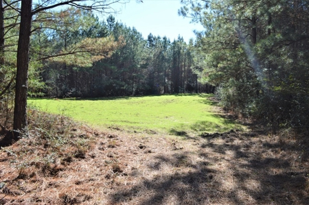 185 Acre Turnkey Hunting Paradise Southwest MS - image 28
