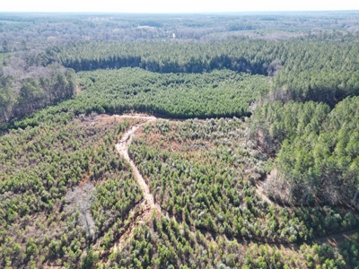 185 Acre Turnkey Hunting Paradise Southwest MS - image 5