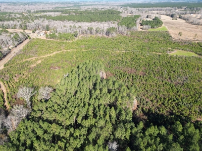 185 Acre Turnkey Hunting Paradise Southwest MS - image 11