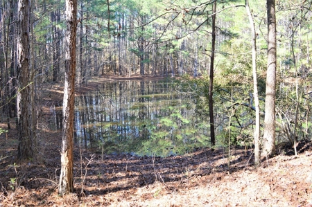 185 Acre Turnkey Hunting Paradise Southwest MS - image 42