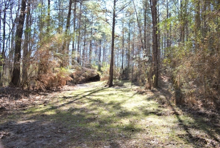 185 Acre Turnkey Hunting Paradise Southwest MS - image 36
