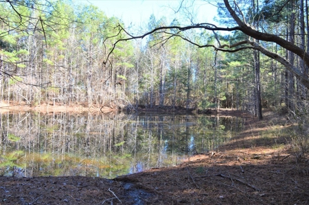 185 Acre Turnkey Hunting Paradise Southwest MS - image 40