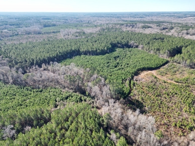185 Acre Turnkey Hunting Paradise Southwest MS - image 8