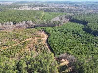 185 Acre Turnkey Hunting Paradise Southwest MS - image 12