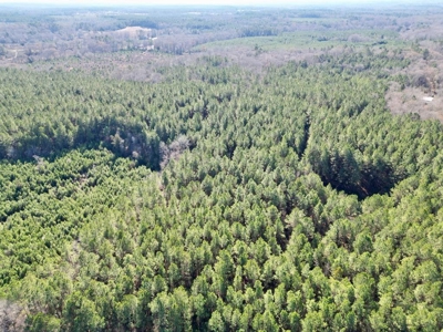 185 Acre Turnkey Hunting Paradise Southwest MS - image 1