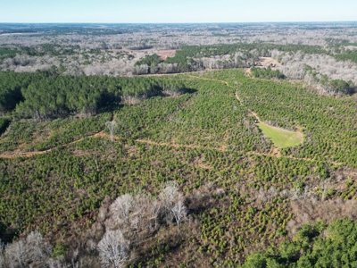 185 Acre Turnkey Hunting Paradise Southwest MS - image 9