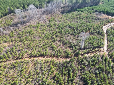 185 Acre Turnkey Hunting Paradise Southwest MS - image 6