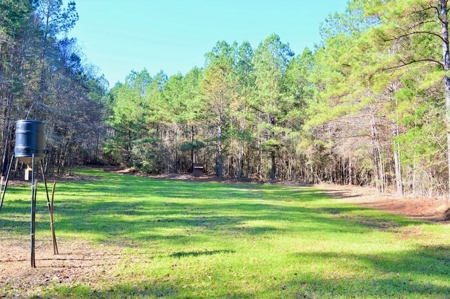 185 Acre Turnkey Hunting Paradise Southwest MS - image 20