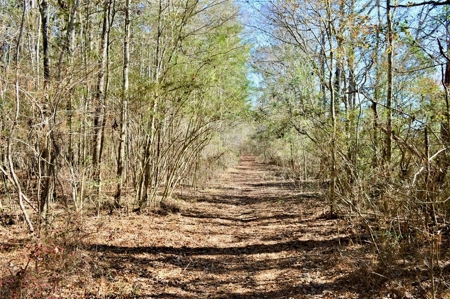 185 Acre Turnkey Hunting Paradise Southwest MS - image 39