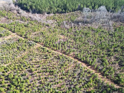 185 Acre Turnkey Hunting Paradise Southwest MS - image 13