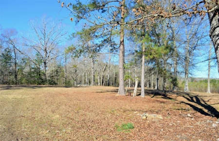 185 Acre Turnkey Hunting Paradise Southwest MS - image 18