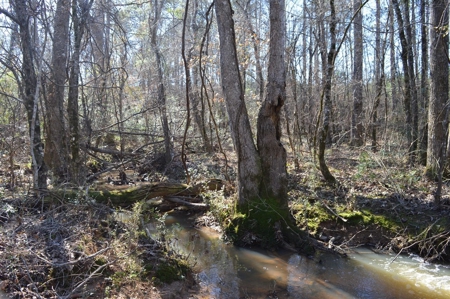185 Acre Turnkey Hunting Paradise Southwest MS - image 34