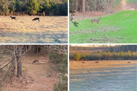 185 Acre Turnkey Hunting Paradise Southwest MS - image 45