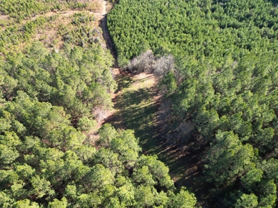 185 Acre Turnkey Hunting Paradise Southwest MS - image 4