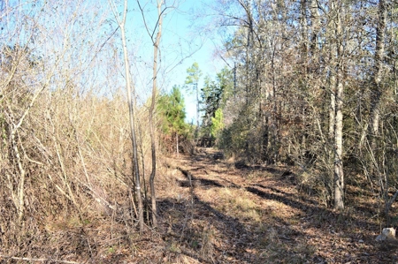 185 Acre Turnkey Hunting Paradise Southwest MS - image 38