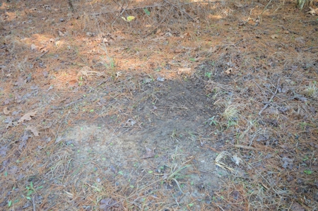 185 Acre Turnkey Hunting Paradise Southwest MS - image 43