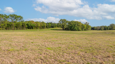 36+ Acres Country Home 39X40 Shop Yantis, Texas Wood County - image 41