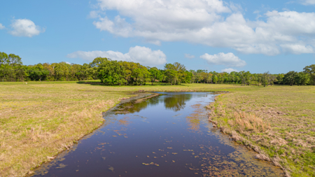 36+ Acres Country Home 39X40 Shop Yantis, Texas Wood County - image 43