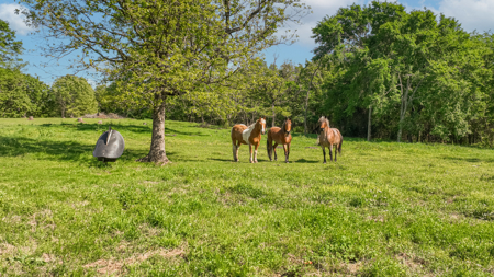 36+ Acres Country Home 39X40 Shop Yantis, Texas Wood County - image 34