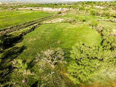 Western Colorado Irrigated Farm and Ranch Land - image 13