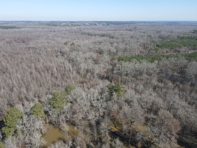 Sportsmen's Paradise South Arkansas - image 27