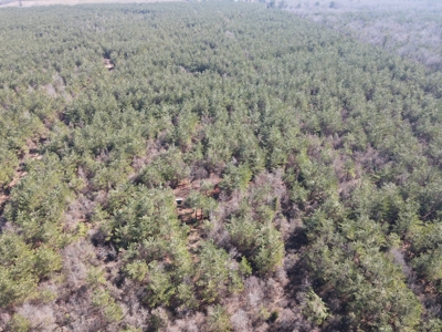 Sportsmen's Paradise South Arkansas - image 34