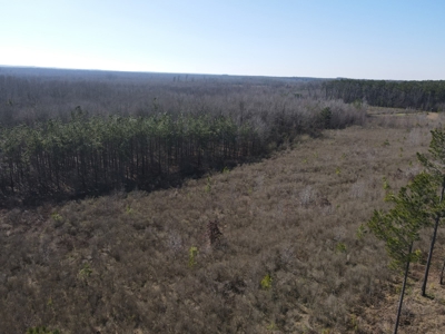 Sportsmen's Paradise South Arkansas - image 14