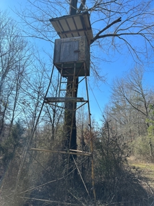 Sportsmen's Paradise South Arkansas - image 10