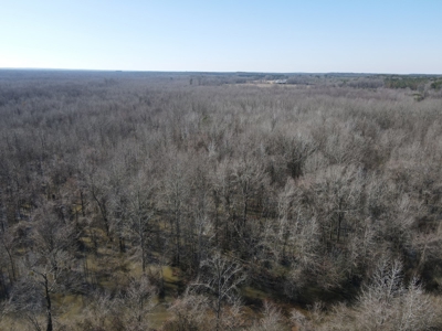 Sportsmen's Paradise South Arkansas - image 18