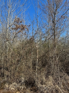 Sportsmen's Paradise South Arkansas - image 3