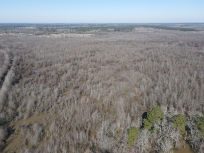 Sportsmen's Paradise South Arkansas - image 26