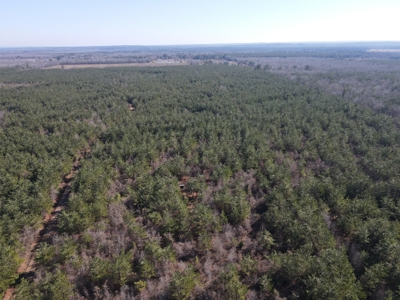 Sportsmen's Paradise South Arkansas - image 33