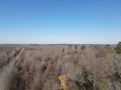 Sportsmen's Paradise South Arkansas - image 24