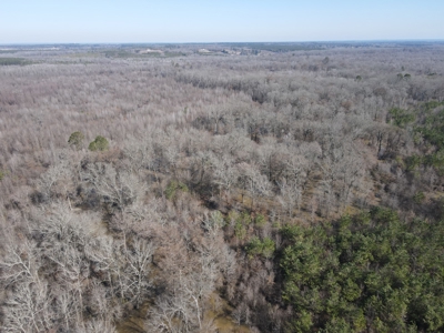 Sportsmen's Paradise South Arkansas - image 29