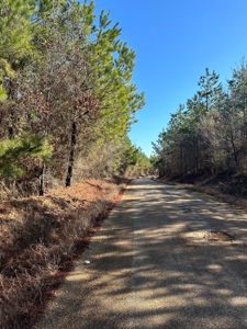 Sportsmen's Paradise South Arkansas - image 37