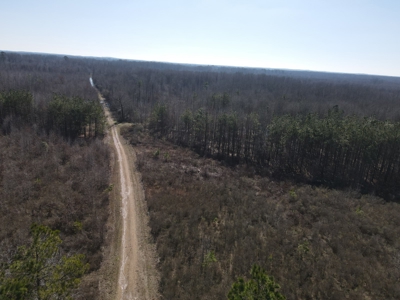 Sportsmen's Paradise South Arkansas - image 13