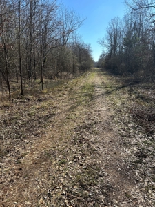 Sportsmen's Paradise South Arkansas - image 8