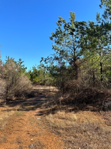 Sportsmen's Paradise South Arkansas - image 36