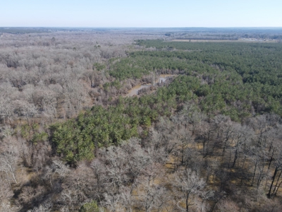 Sportsmen's Paradise South Arkansas - image 28
