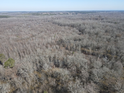 Sportsmen's Paradise South Arkansas - image 30