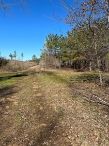 Sportsmen's Paradise South Arkansas - image 7