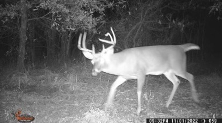 Sportsmen's Paradise South Arkansas - image 50