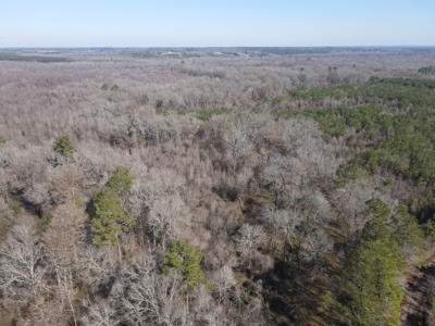 Sportsmen's Paradise South Arkansas - image 21