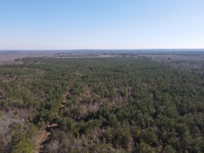 Sportsmen's Paradise South Arkansas - image 22