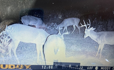 Sportsmen's Paradise South Arkansas - image 49